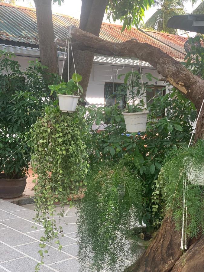 Duy An Guest House Муйне Екстер'єр фото